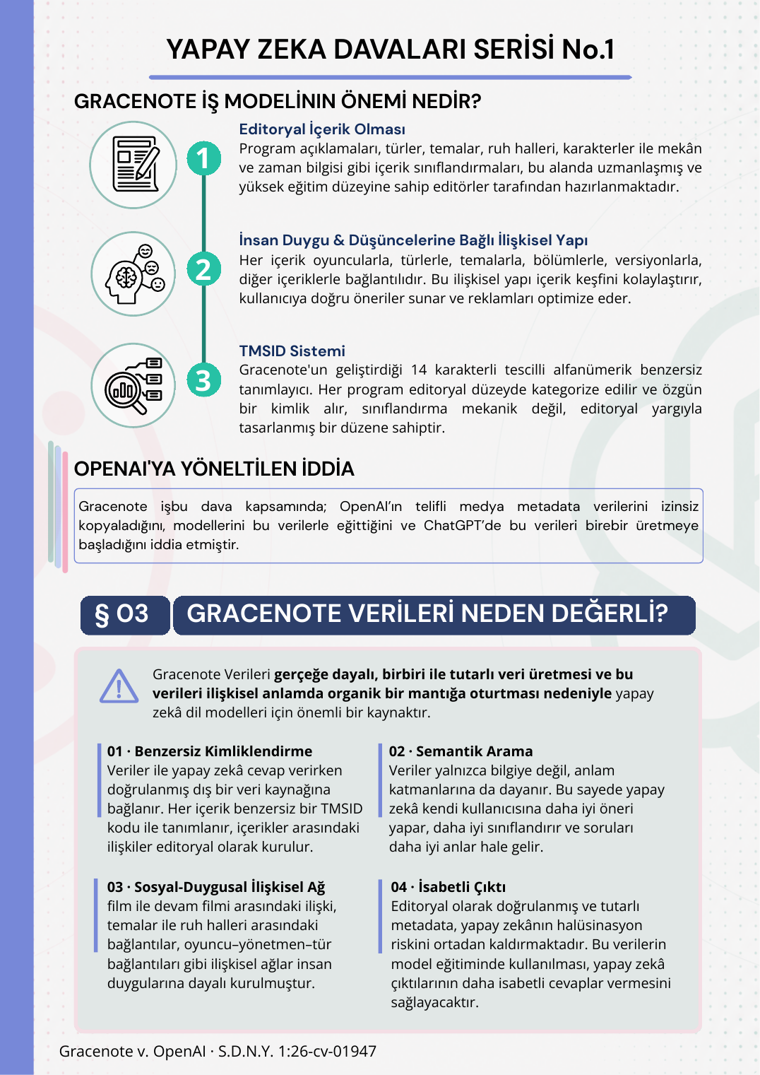 AI Litigation Series No.1 infographic (in Turkish), page 2