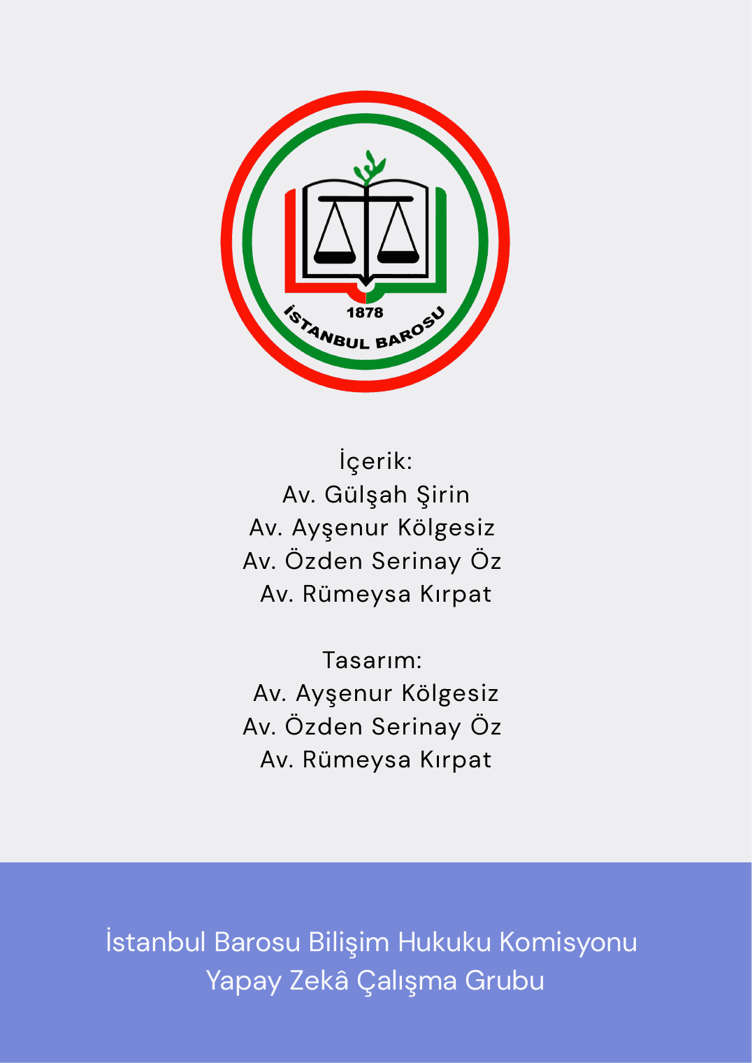 AI Litigation Series No.1 infographic (in Turkish), page 5